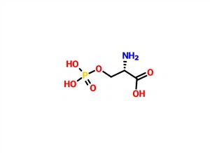 O-Phospho-L-serine CAS 407-41-0