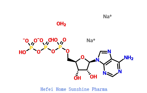 Adenosine 5'-triphosphate Disodium Salt Hydrate CAS 34369-07-8