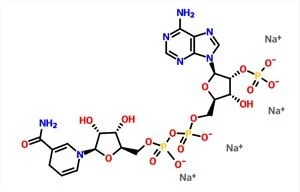 Beta{0}}NADPH Tetrasodium ntsev NADPH CAS 2646-71-1